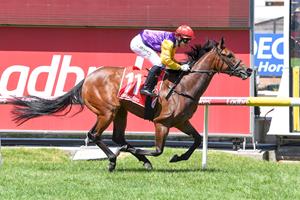 SPEED MACHINE PROVES GOLIATH